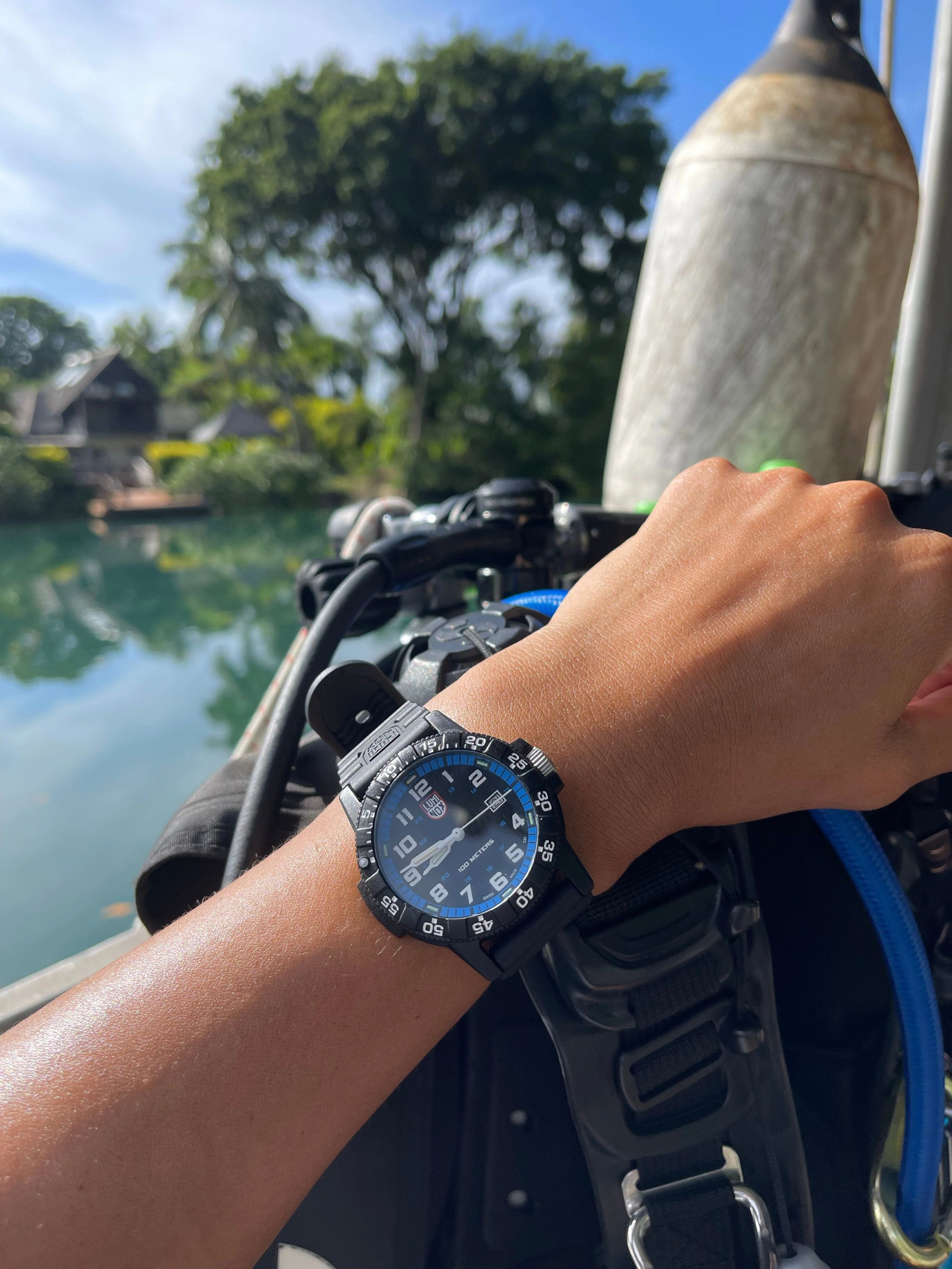 Leatherback SEA Turtle Giant, 44mm, Outdoor watch - 0324 - Image 11