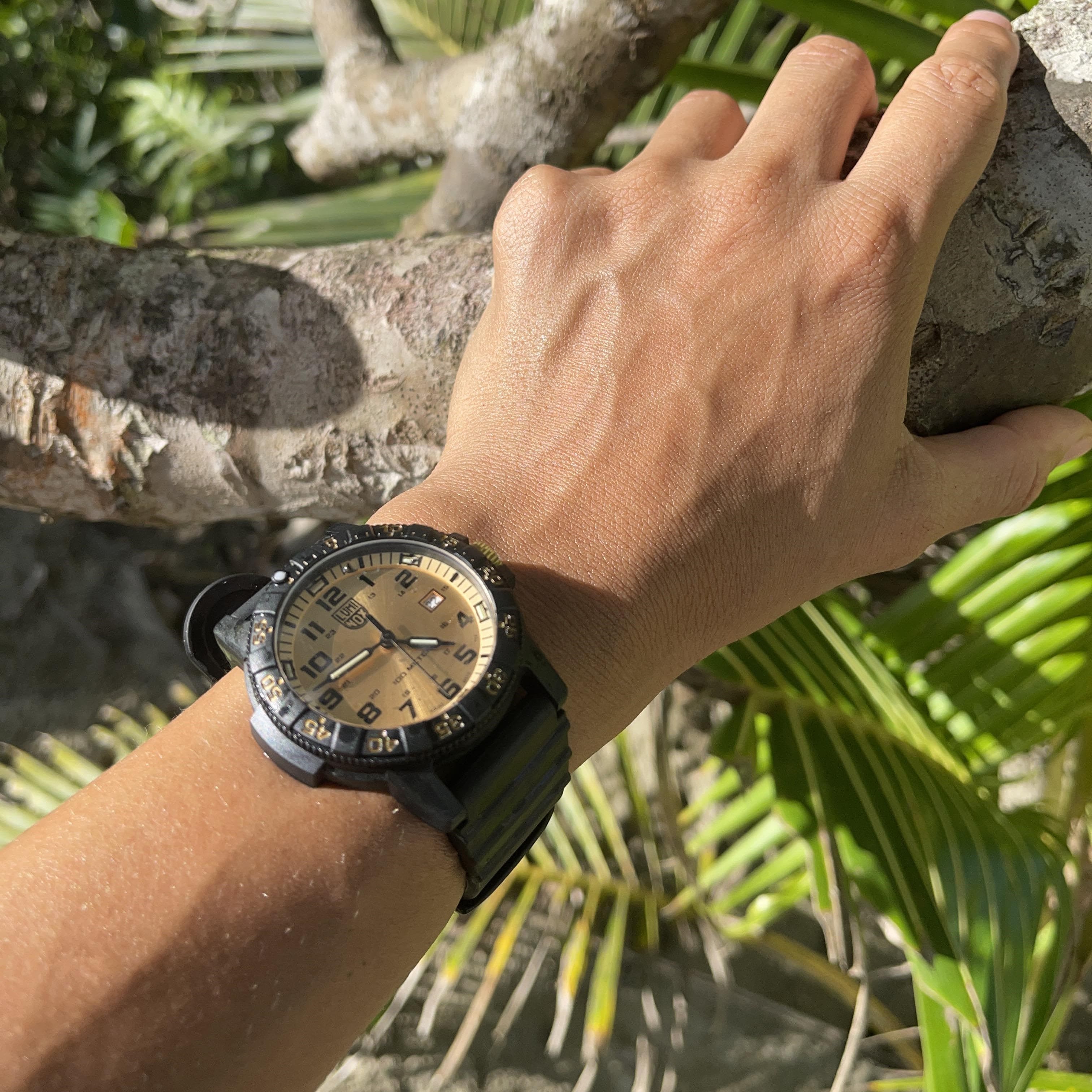 Leatherback SEA Turtle Giant, 44mm, Outdoor watch - 0325.GP - Image 11